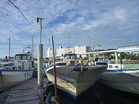 resize0893