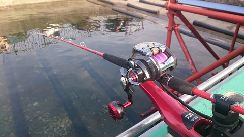 resize8407