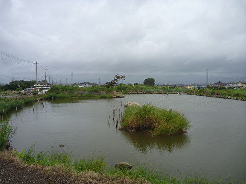 resize11253