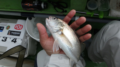 resize4083