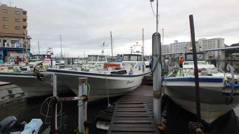 resize4071