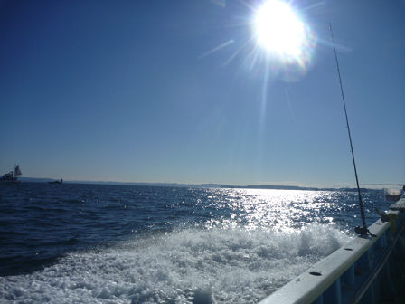 resize21871