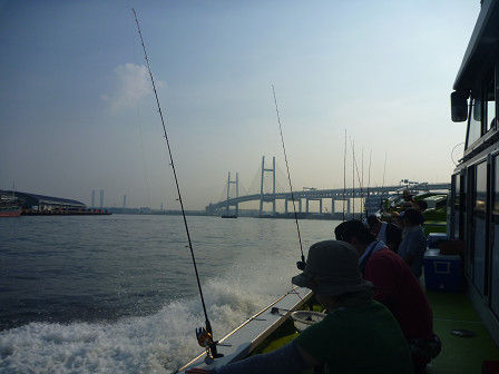 resize0978