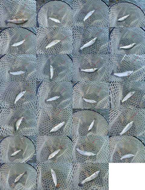 15_2