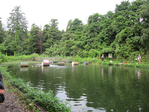 resize14220