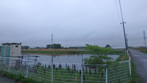 resize3952