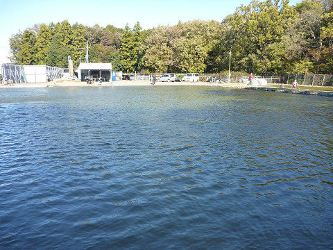 resize14937
