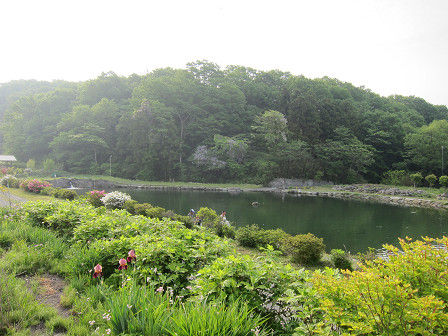 resize17261