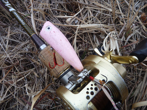 resize12598