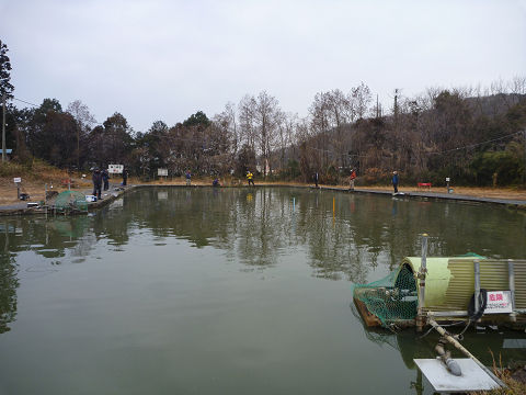 resize12563