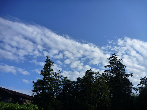 resize11450