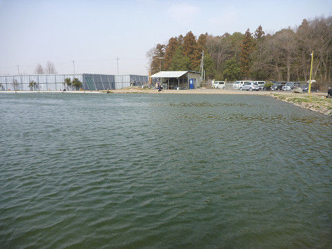 resize16173