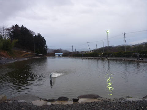 resize9741