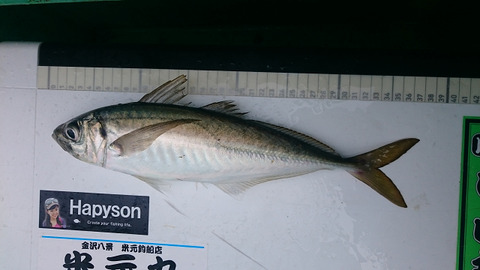 resize8418