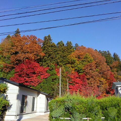 高山01