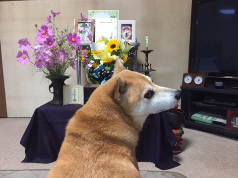 てん