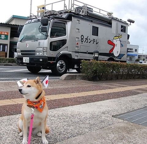 関西TV