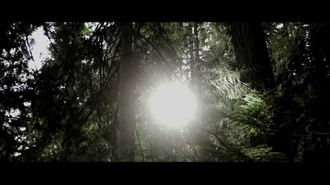 mp4_000007521