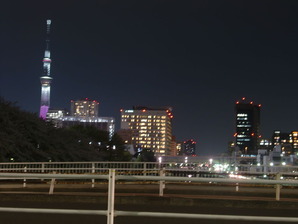 猿江公園夜桜7
