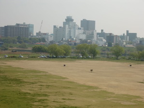 江戸川を渡る