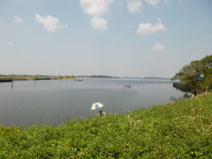 牛久沼1