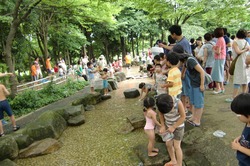 じゃぶじゃぶ池