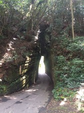 切通しのトンネル