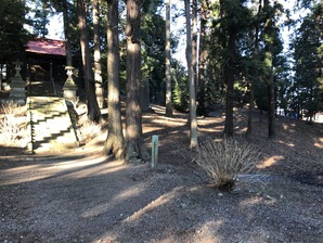 壬生愛宕塚古墳1