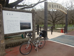 巾着田2