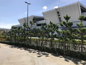 豊洲ぐるり公園3