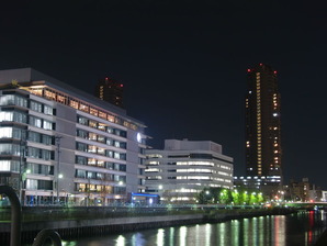 猿江公園夜桜3