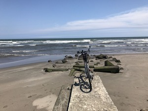 外海です。