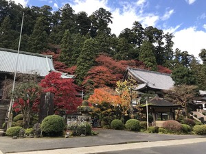 最乗寺境内