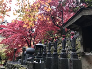 大山寺女坂