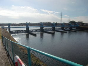 小櫃川の堰