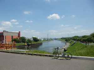 芝川河口