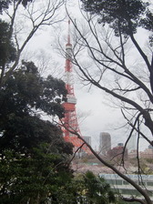 観音山と東京タワー