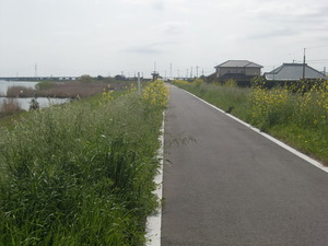 常陸利根川沿道