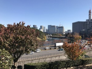 憲政記念館前庭から