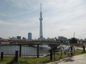 桜橋