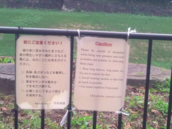 半蔵濠??