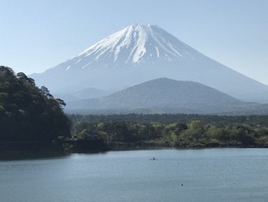 精進湖から望む富士