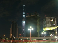 2011ŽÂިްÅÀÅô8