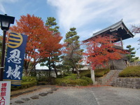 忍城の鐘