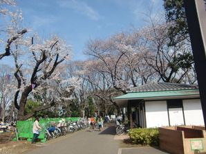 飛鳥山
