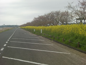 安塚公園駐車場
