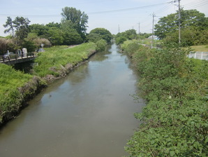 八丁堤より芝川上流