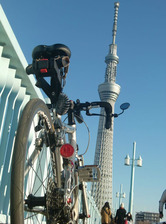 2015スカイツリー1