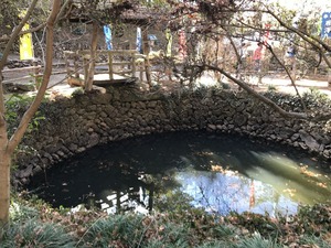 大炊井