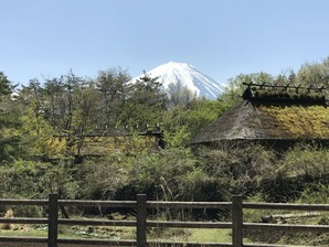 不思議な光景